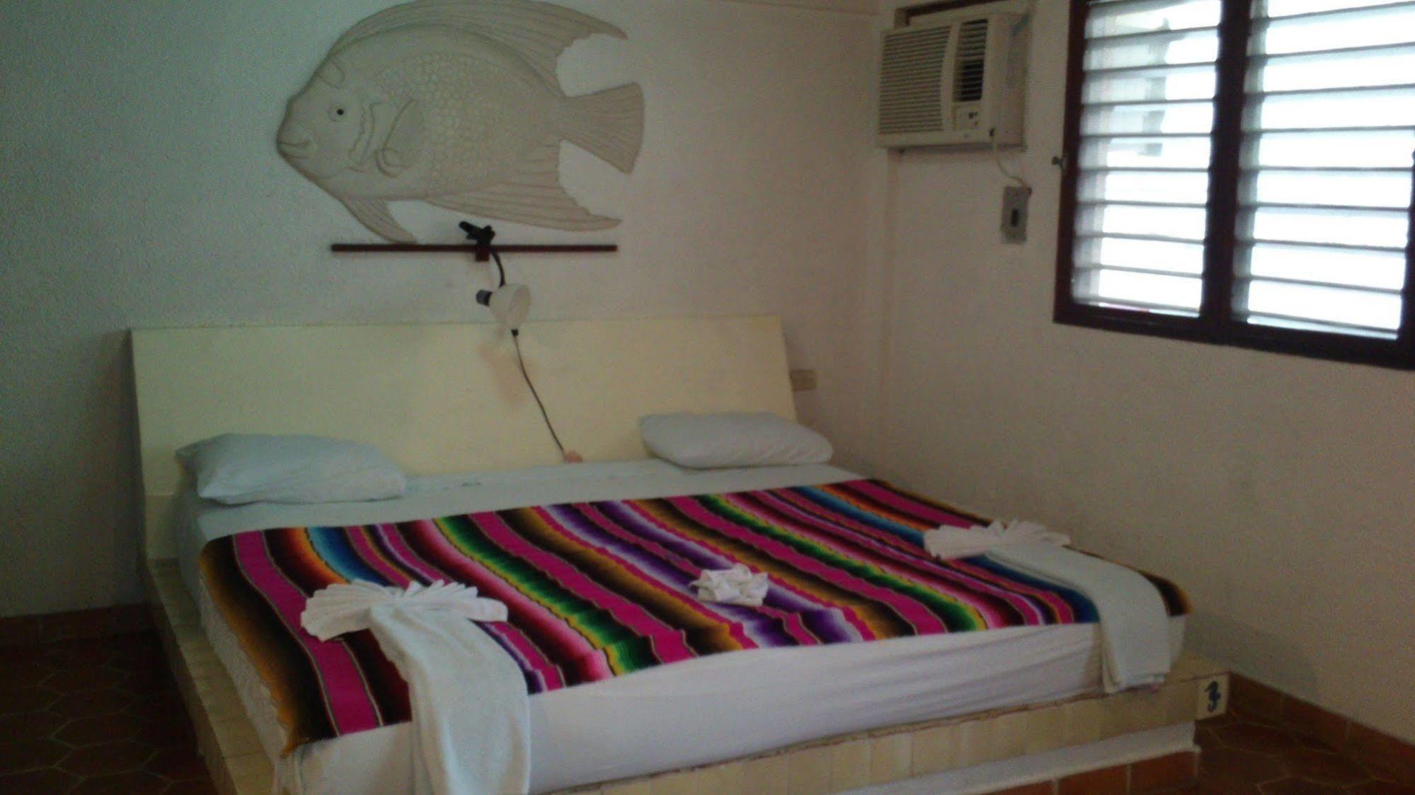 Safari Inn Cozumel Exterior photo